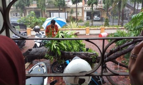 Angin kencang dengan disertai curah hujan lebat menyebabkan sejumlah titik di Kota Malang tergenang air dan beberapa pohon tumbang pada Jumat (5/1). 