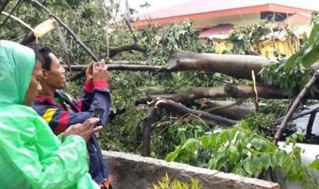 Angin yang cukup kencang disertai hujan deras dengan berbutiran batu es kecil melanda Kota Depok, Senin (1/4). Hujan disertai angin berlangsung selama 50 menit itu juga menimbulkan pohon tumbang di beberapa tempat. 