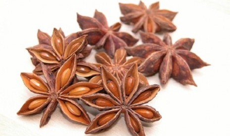 Anise star is one of ingredients used in traditional medicine. (illustration)