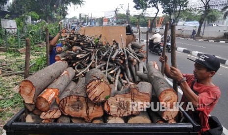 Antisipasi Pohon Tumbang. 