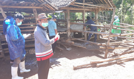 Antraks di Gunungkidul terkendali dan telah ditangani dengan baik.