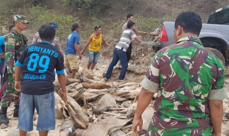 Aparat gabungan TNI dan Polri berhasil mengamankan sembilan ekor Rusa di Bima, Nusa Tenggara Barat (NTB yang diduga hasil buruan dari Pulau Komodo, Nusa Tenggara Timur (NTT).