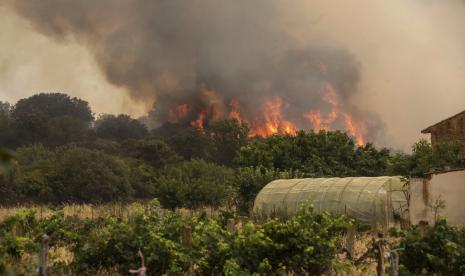 Api berkobar selama kebakaran hutan di Pumarejo de Tera di barat laut Spanyol, Senin, 18 Juli 2022. Petugas pemadam kebakaran berjuang melawan kebakaran hutan yang berkobar di luar kendali di Spanyol dan Prancis ketika Eropa layu di bawah gelombang panas yang luar biasa ekstrem yang oleh pihak berwenang di Madrid disalahkan atas ratusan kematian.