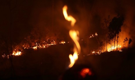 Api membakar kawasan hutan Amazon di Porto Velho, negara bagian Rondonia, Brasil, Ahad (25/8).