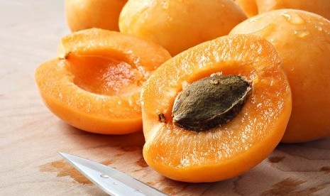 Apricot