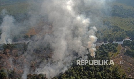 Kebakaran hutan di Riau (ilustrasi)