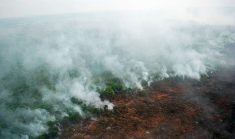  Areal lahan dan hutan terbakar terlihat dari atas Helikopter BNPB jenis MI-8 di Desa Pangkalan Terap, Teluk Meranti, Kabupaten Pelalawan, Riau, Jumat (10/6). (Antara/Rony Muharrman)