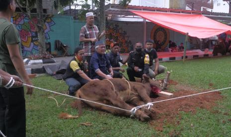 ARS University menyembelih 4 ekor sapi yang pendistribusiannya di serahkan ke masyarakat sekitar kampus.