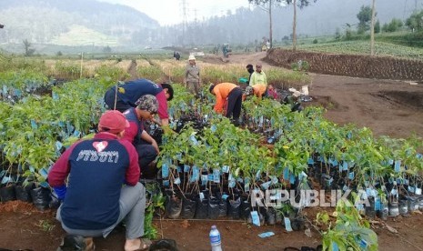 Artha Graha Peduli, Yayasan Budiasi dan petani binaan melakukan kegiatan penanaman bibit pohon di area nursery.