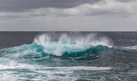 Perubahan iklim menyebabkan gelombang laut memanas di daerah tropis.