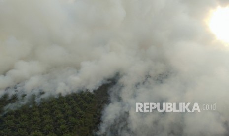 Ilustrasi kebakaran hutan dan lahan di Sumatra Selatan