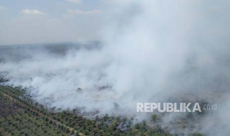 Kebakaran hutan dan lahan di Sumatra Selatan