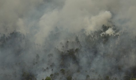 Asap membubung saat terjadi kebakaran hutan dan lahan di Desa Sungai Rambutan, Indralaya Utara, Ogan Ilir (OI), Sumatera Selatan, Kamis (14/9).