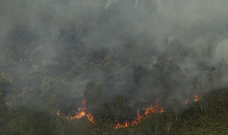 Asap membubung saat terjadi kebakaran hutan dan lahan di Desa Sungai Rambutan, Indralaya Utara, Ogan Ilir (OI), Sumatera Selatan, Kamis (14/9). 