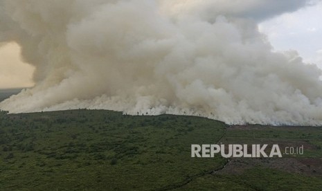 Asap membumbung tinggi dari lahan yang terbakar di Sumatra Selatan. (ilustrasi)