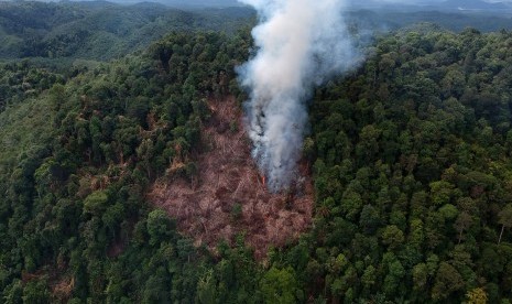 Asap mengepul akibat pembakaran lahan di Sialang, Dharmasraya, Sumatera Barat, Rabu (3/4/2019). 