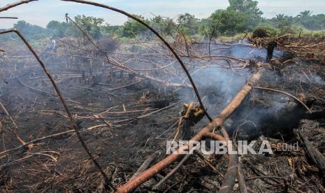 Asap mengepul dari lahan gambut dan menjadi salah satu hot spot (ilustrasi)