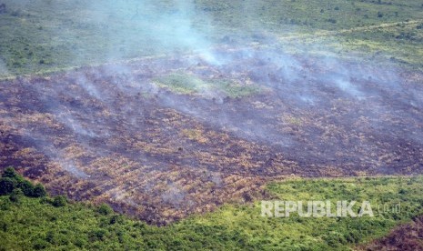 Asap mengepul di atas lahan yang terbakar di Desa Lagan Ulu, Geragai, Tanjungjabung Timur, Jambi, Jumat (4/8). 