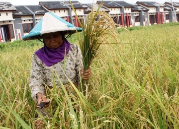 ASEAN may need to learn from Bangladesh, which  successfully incorporates women in poverty eradication program through agriculture sector. (illustration)