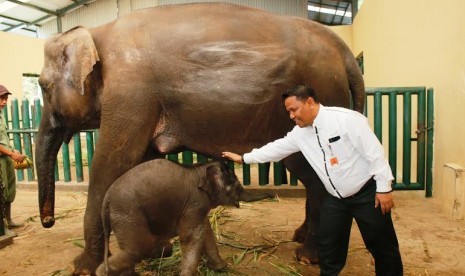 asistant manager Healt Safety Environment mewakili GM PT. Antam Persero berfoto dengan 'anak asuh'nya di Taman Safari