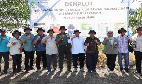 Asosiasi Bioagroinput Indonesia (ABI) melakukan studi evaluasi input teknologi budidaya padi di lahan sulfat masam di Penajam Paser Utara, Kalimantan Timur, Rabu (4/9/2024) lalu.