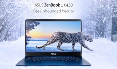 Asus ZenBook UX430