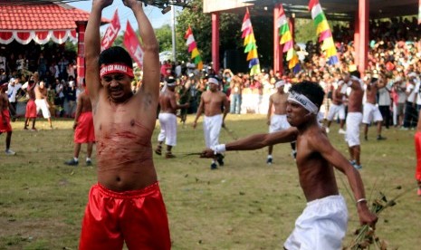 Atraksi budaya Pukul Sapu (saling memukul menggunakan lidi/batang enau) berlangsung di Desa Mamala, Pulau Ambon, Kabupaten Maluku Tengah, Maluku, Minggu (2/7). 