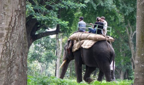 Atraksi naik gajah