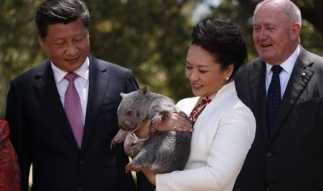 Australian Governor-General Peter Cosgrove (R) stands with China’s President Xi Jinping and his wife Peng Liyuan, as she holds a wombat in the grounds of Government House in Canberra November 17, 2014.