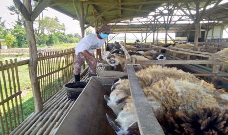 Badan Amil Zakat Nasional (BAZNAS) menyelenggarakan acara bedah buku Panduan Program Balai Ternak BAZNAS dan Materi Pendampingan. Buku ini berisi tahapan umum program pemberdayaan peternak mustahik dan panduan teknis pelaksanaan setiap tahapan program. Sedangkan buku Materi Pendampingan berisi materi tentang pengetahuan dan pemahaman program BAZNAS dan konsep program Balai Ternak. 