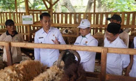 Badan Amil Zakat Nasional (Baznas) RI meluncurkan Balai Ternak Baznas di Kabupaten Tuban, Jawa Timur.  Simbolisasi peluncuran Balai Ternak Tuban dilakukan di Kandang Kelompok Mandiri Barokah, di Dusun Koro, Desa Pongpongan, Kecamatan Merakurak, Kabupaten Tuban, pada Rabu (8/2/2023)