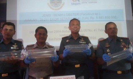 Badan Karantina Ikan Pengendalian Mutu dan Keamanan Hasil Perikanan (BKIPM) bersama Lanal Bandung dan Pos TNI AL Pangandaran berhasil mengagalkan penyelundupan benih lobster di pesisir Selatan Garut, Pantai Santolo, Ahad (5/5). 