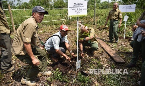 Badan Litbang dan Inovasi (BLI) Kementerian Lingkungan Hidup dan Kehutanan (KLHK) melakukan kunjungan di kawasan restorasi gambut, Ogan Ilir, Sumsel.