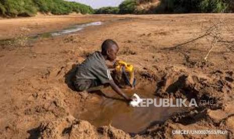 Badan Pangan PBB (WFP) melaporkan lebih dari 40 juta orang di kawasan Afrika Barat dan Tengah tengah menghadapi krisis kerawanan pangan.