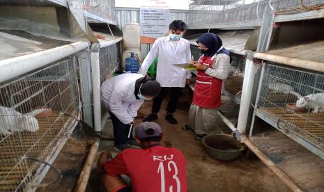 Badan Usaha Milik Masyarakat (BUMMas) Campursari Berdaya mendapatkan kunjungan dari mahasiswa Universitas Diponegoro (UNDIP), Sabtu (18/9). Sebanyak 3 mahasiswa yang didampingi Muhammad Gelar mengunjungi BUMMas Campursari Berdaya dalam rangka melakukan penelitian kelinci jenis New Zealand White (NZW).