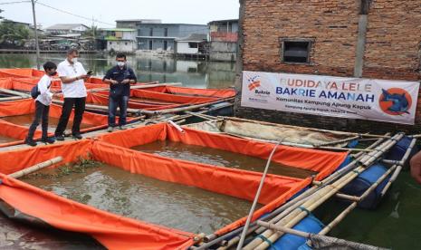 Bakrie Amanah mengaktifkan kembali Rumah Belajar di Kampung Apung, Kapuk, Jakarta Barat. Diresmikan oleh Teguh Anantawikrama sebagai Wakil Ketua Bakrie Amanah, Rumah Belajar diaktifkan kembali bersamaan dengan panen budidaya lele dan pembagian masker anak di kampung ini.  