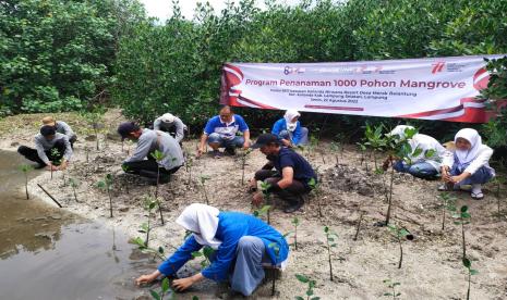 Bakrie Group menargetkan penanaman 8.000 bibit mangrove pada tahun ini.