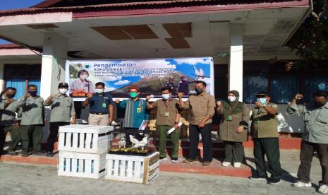 Balai Besar Konservasi Sumber Daya Alam (BBKSDA) Nusa Tenggara Timur (NTT) mengembalikan 23 individu satwa dilindungi burung kakatua koki (Cacatua galerita eleonora) kepada Balai KSDA Maluku untuk dilepasliarkan ke habitat alaminya di Maluku, pada Selasa (15/6). 