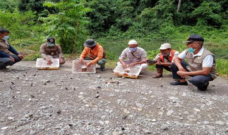 Balai Konservasi Sumber Daya Alam (BKSDA) Kalimantan Timur melepasliarkan 311 ekor burung ke alam, Sabtu (1/5).