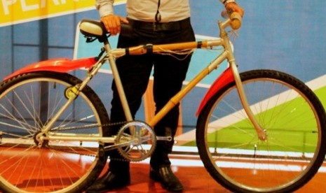 Bambootec Bicycle