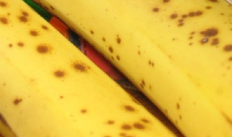 Bananas (illustration)