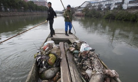 Bangkai babi ditemukan masyarakat di Cina.