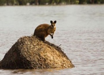 banjir Australia