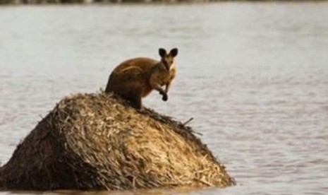 Banjir Australia