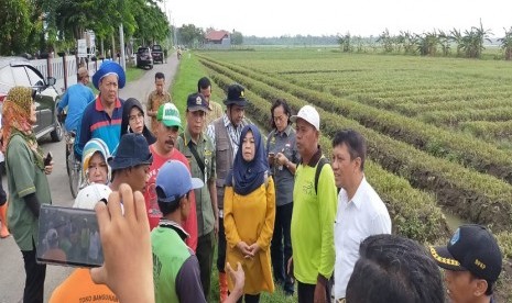 Banjir menerjang kawasan penghasil bawang merah terbesar di Indonesia yaitu Brebes.Kepala Dinas Pertanian dan Ketahanan Pangan Kabupaten Brebes, Yulia Hendrawati mengatakan Luasan bawang merah terdampak banjir di Brebes tak sampai 10 persen dari total tanam