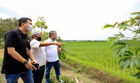 Bank BRI berkomitmen ikut berkontribusi mengurangi dampak negatif perubahan iklim. Salah satu caranya melalui penyaluran pembiayaan berbasiskan nilai-nilai lingkungan, sosial, dan tata kelola (environment, social, and governance/ESG) kepada pelaku usaha yang ramah lingkungan dan tersertifikasi pengelolaan analisis dampak lingkungan (AMDAL).