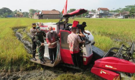 Bank Indonesia (BI) Solo bersama dengan Pemerintah Kabupaten Sukoharjo, Jawa Tengah, melaksanakan panen raya padi di Klaster Modern Farming di lahan pertanian Desa Tangkisan, Kecamatan Tawangsari, Sukoharjo, Jumat (11/6). 