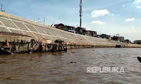 Bantaran di Bukit Duri  yang telah di normalisasi.