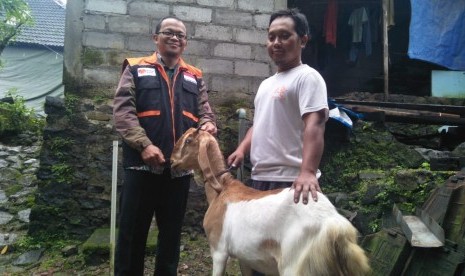 Bantuan Ternak. Rumah Zakat memberikan bantuan ternak untuk dua peternak di Desa Berdaya Ampel, Boyolali.