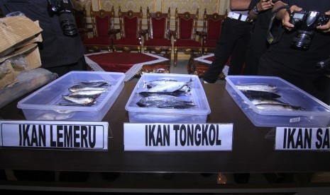 Barang bukti ikan impor asal China yang mengandung formalin di Mapolda Lampung, Senin (15/5). 